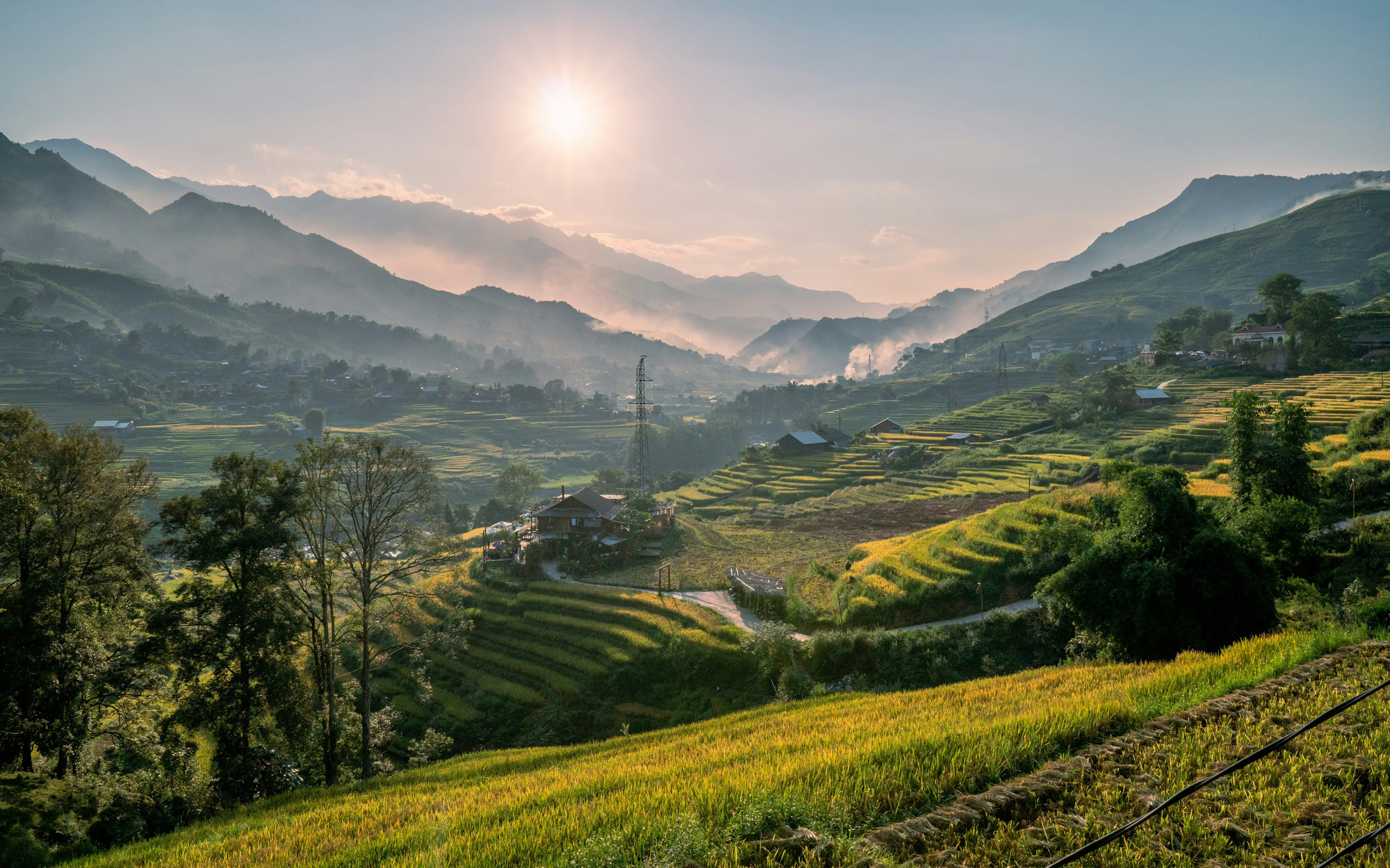 Vietnam during the lush green summer season